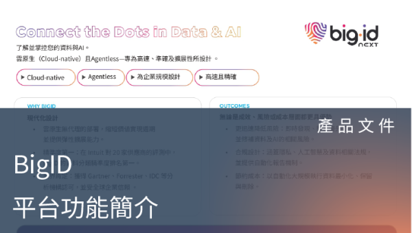 產品文件－BigID Overview