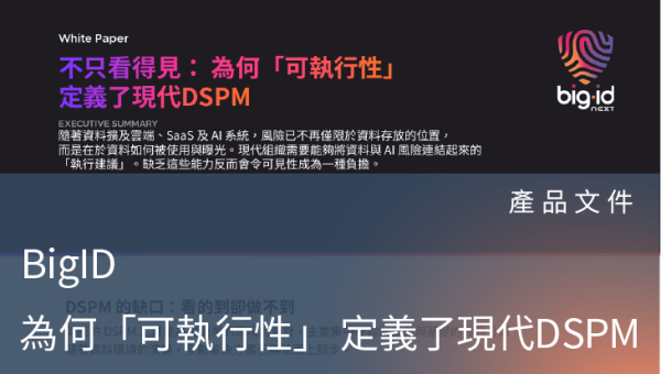 產品文件－Beyond Visibility_ Why Actionability Defines Modern DSPM