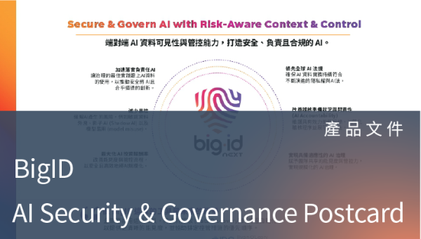 產品文件－AI Security & Governance